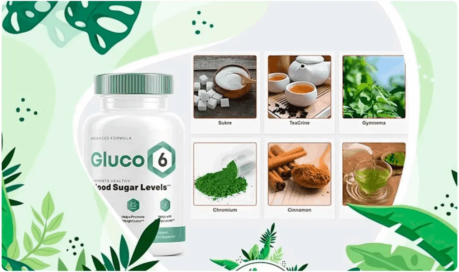 Gluco6